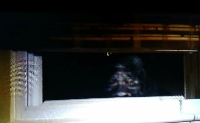 Фото: Scott Yeoman