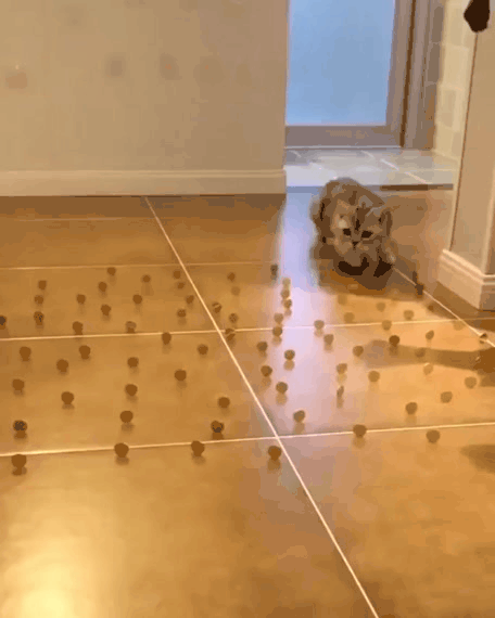 Жми на картинку, чтобы посмотреть видео. Источник: ютуб.