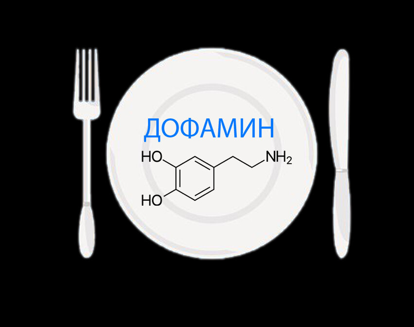 Наука о дофамине, шоколаде, сексе, кокаиновой зависимости и холодном душе