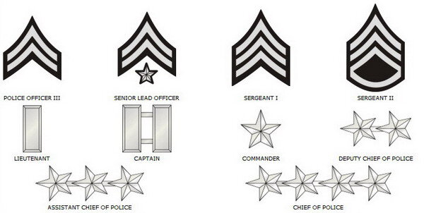 полная система званий полиции США