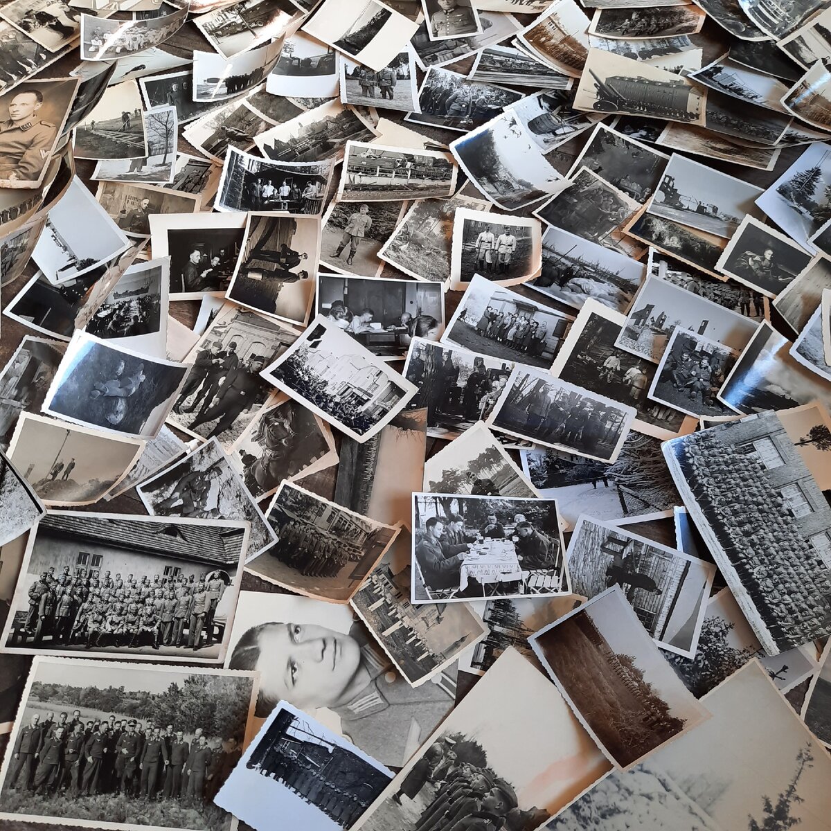 Фото автора.