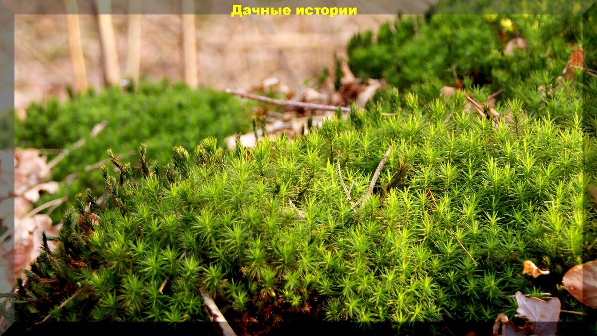 https://vk.com/photo-159774511_457244693