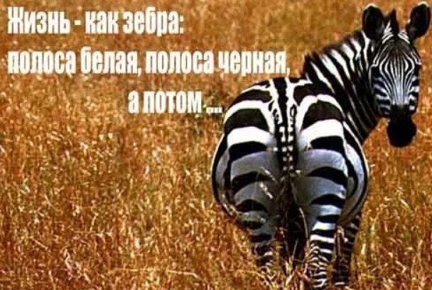 иллюстрация к анекдоту:))