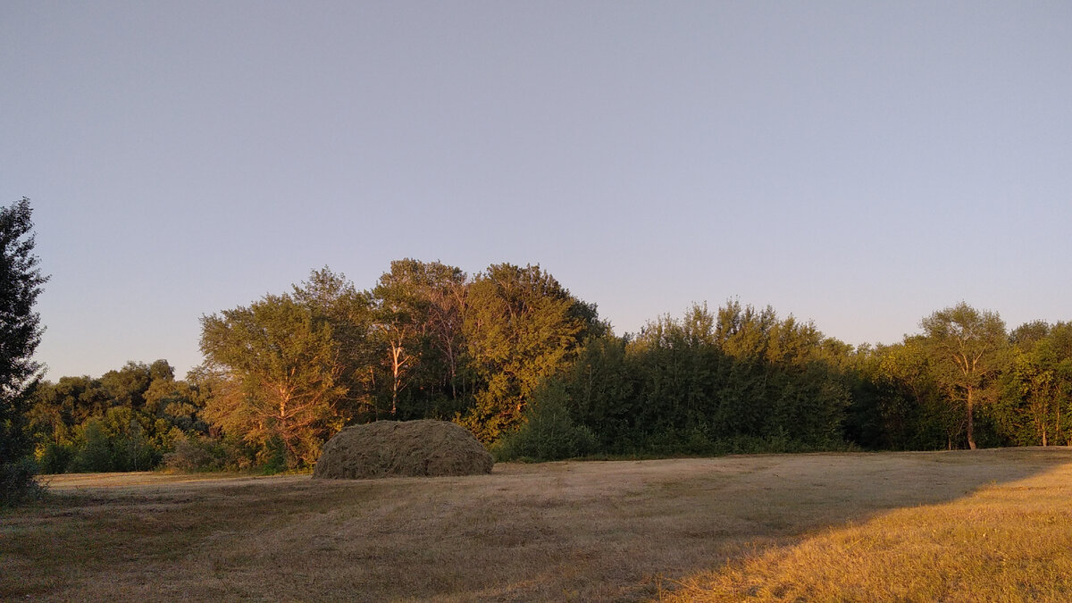 Задонские красоты. 