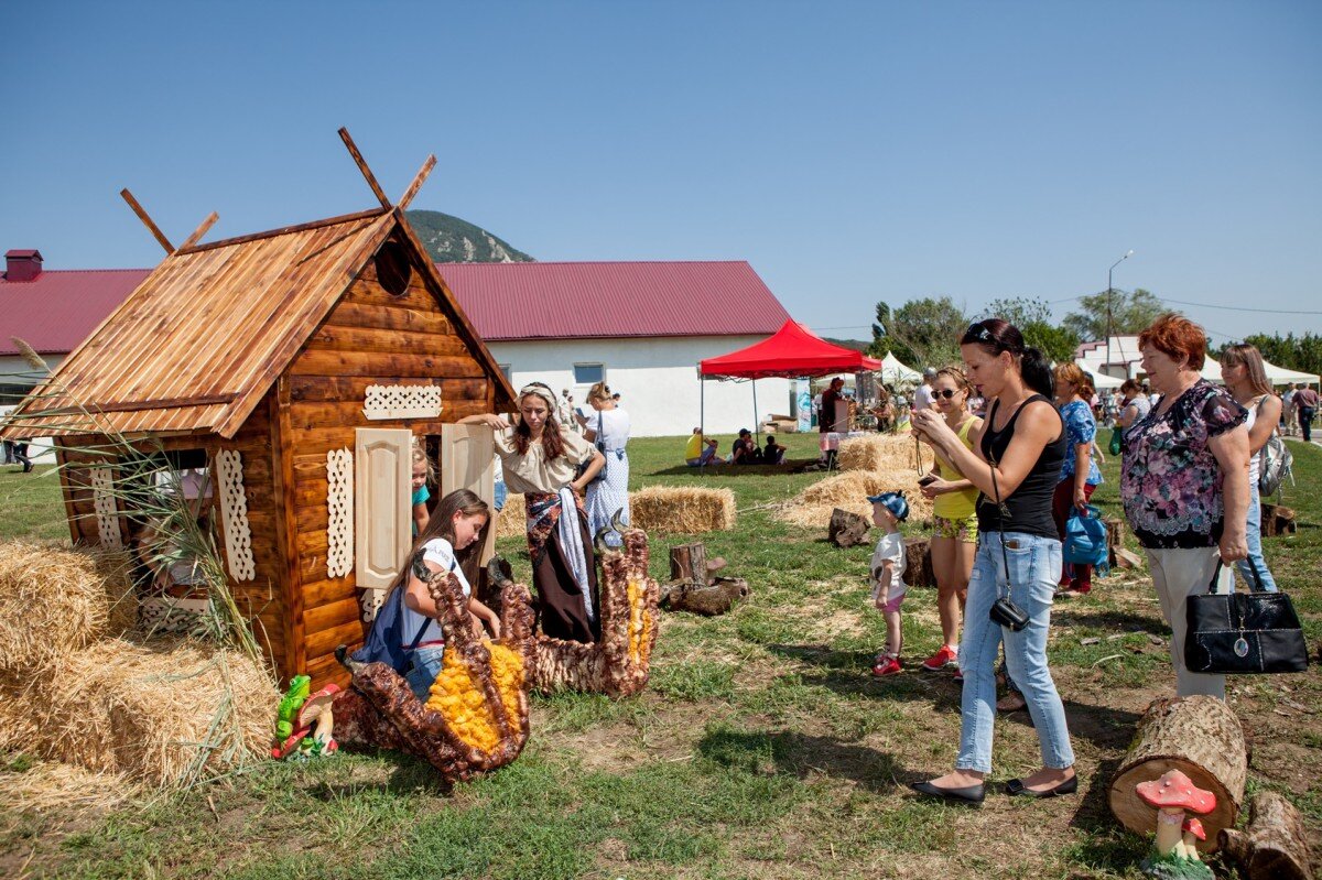Фото: Минсельхоз СК