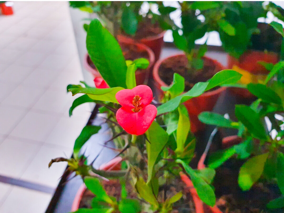 Хорош во всех ракурсах