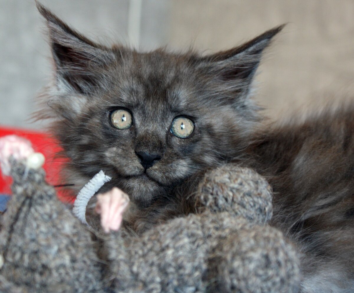 Фото из личного архива.