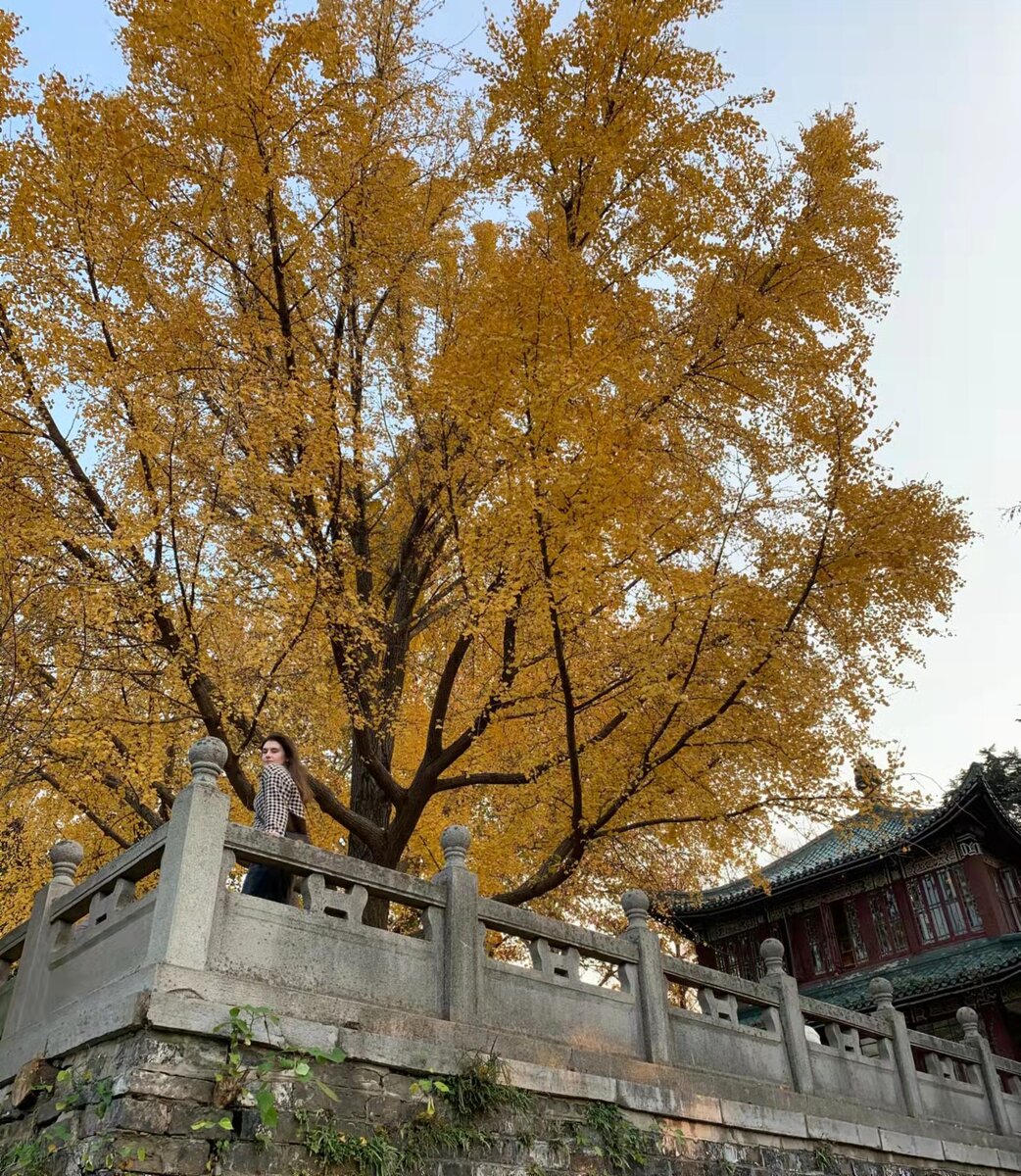 Добро пожаловать на канал, не забывайте ставить лайк, если статья понравилась, и подписываться