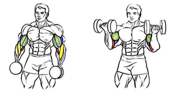 Фотография взята из открытых источников