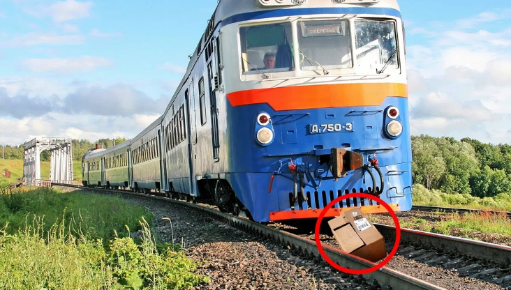 Добавьте описание