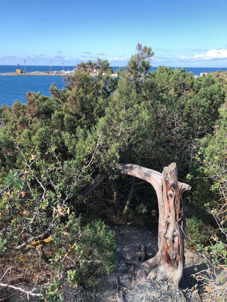В заповеднике Большой Утриш куда не кинь взгляд везде поджидает красота 💚
