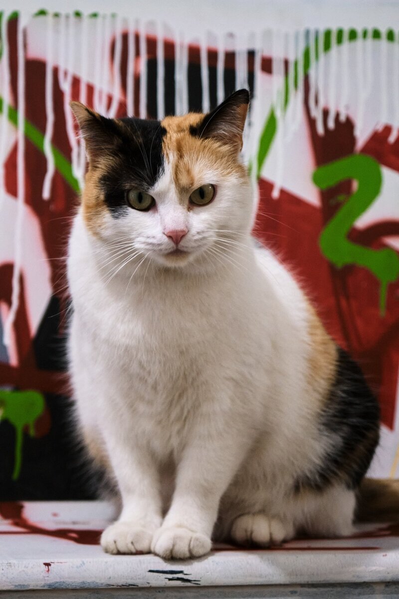 Фото: Максим Маркевич