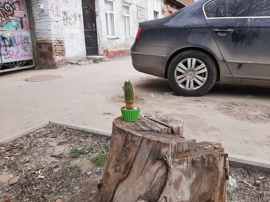     фото: Евгений Кузнецов
