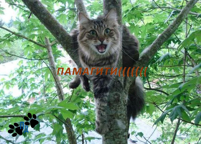 Эксклюзивные кадры с места происшествия 