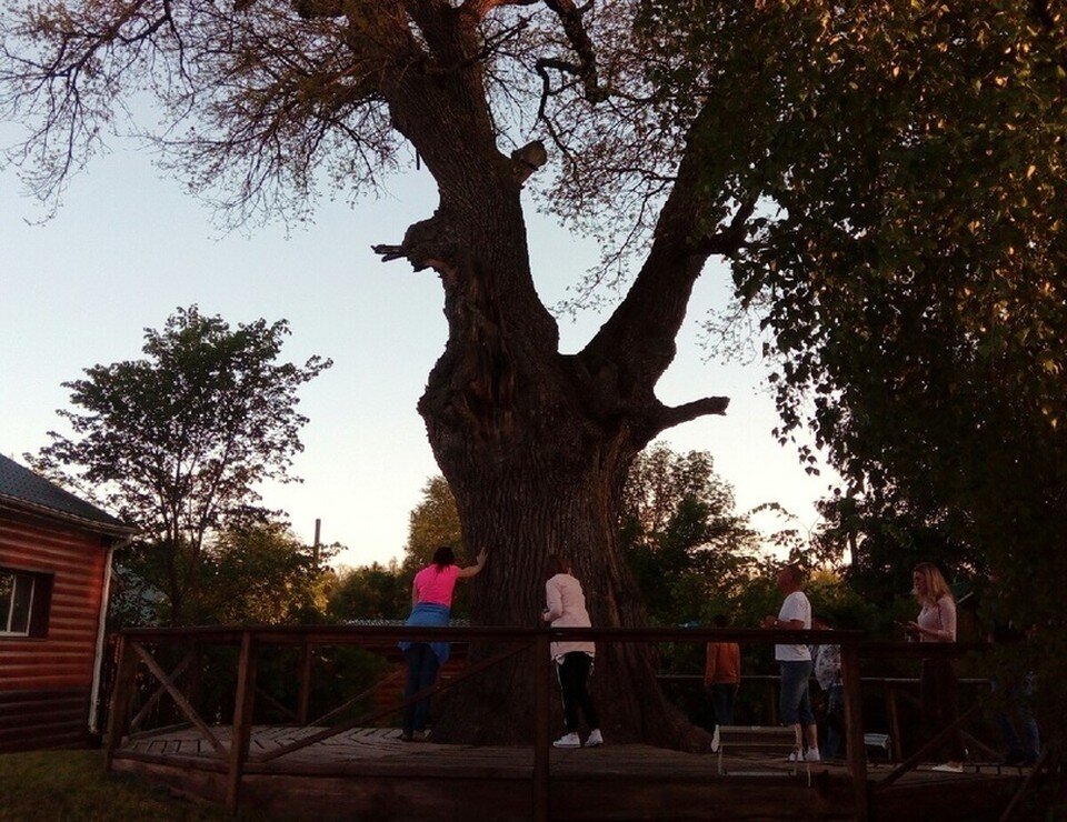     Фото Елены Федяшевой  из архива «КП»