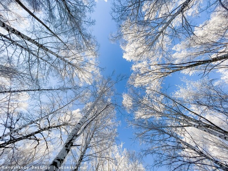    Фото: Дмитрий Кандинский / vtomske.ru