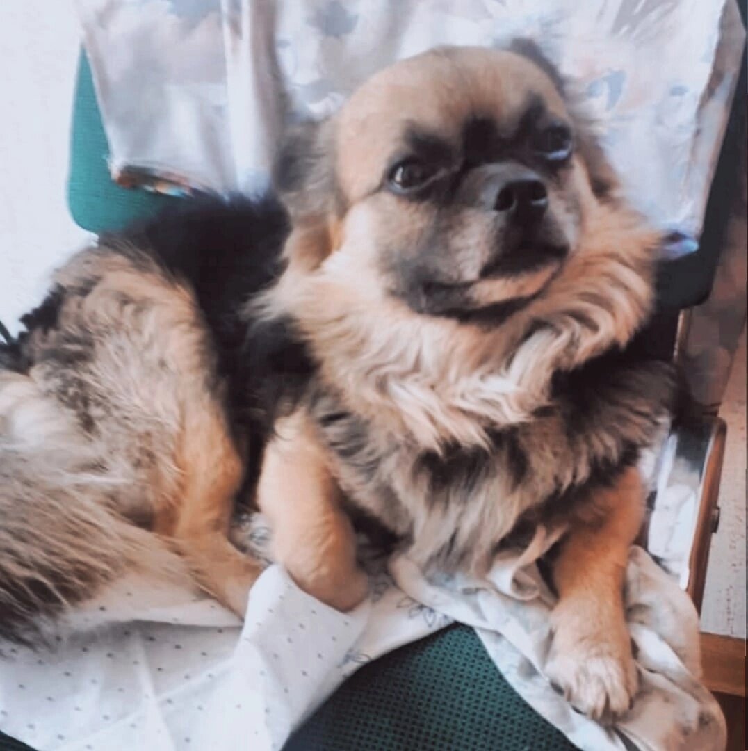 Лето 2021 г. Таким его нашли.