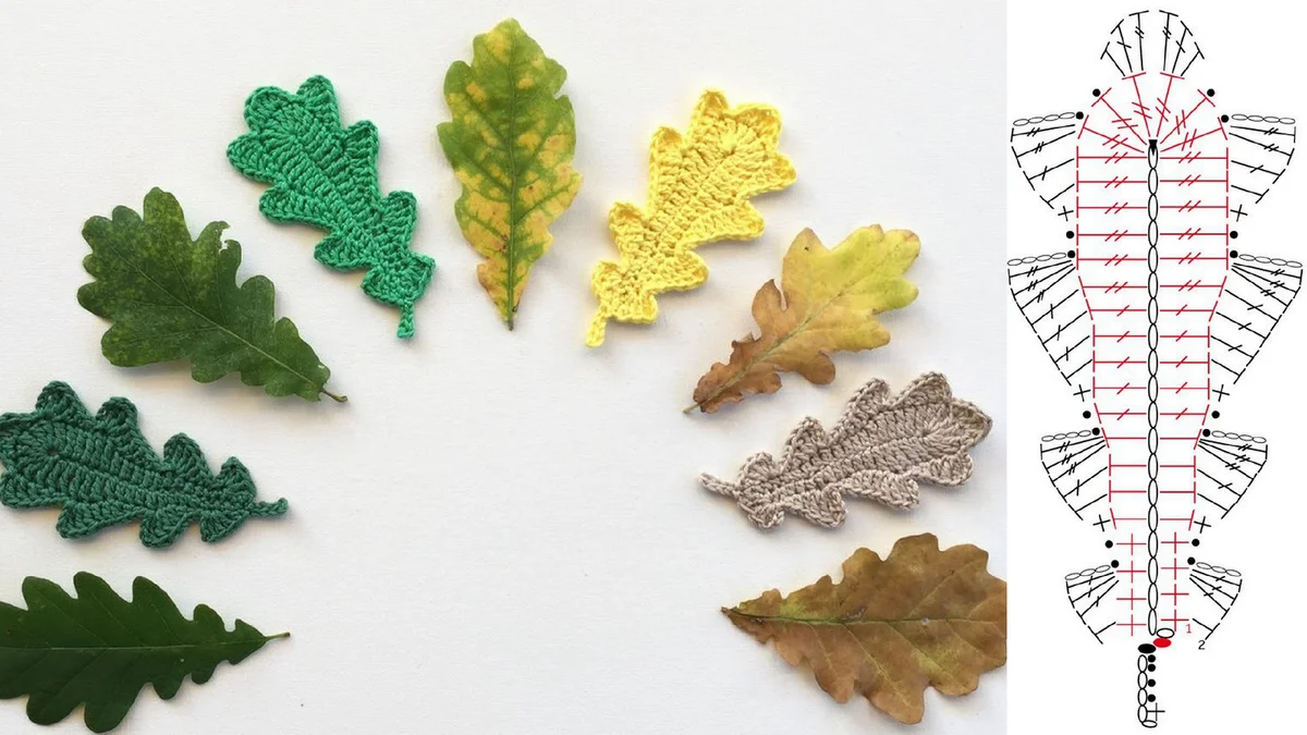 Дубовые листья схема. Дубовый лист. Вязаные дубовые листья. Дубовый лист крючком. Листик дуба крючком.