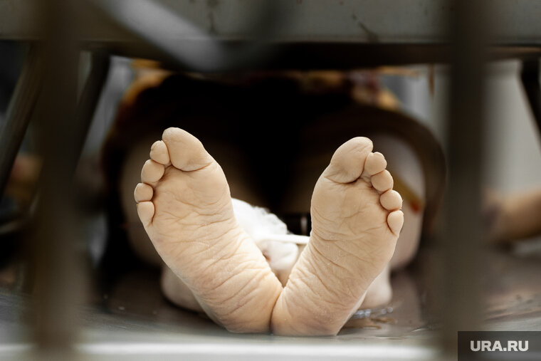    Человечество погибнет от COVID-19 c 90% смертностью, считает ученый Ковальчук