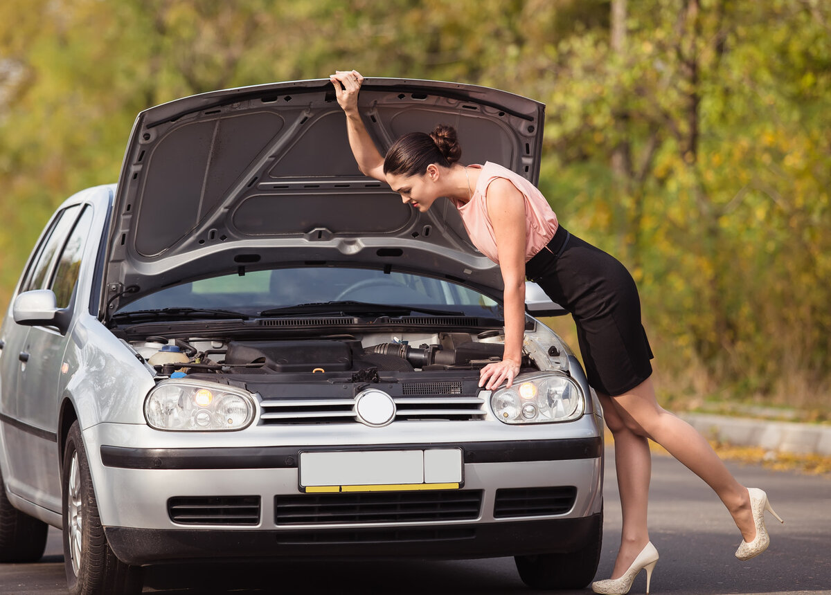  Изображение используется на правах коммерческой лицензии