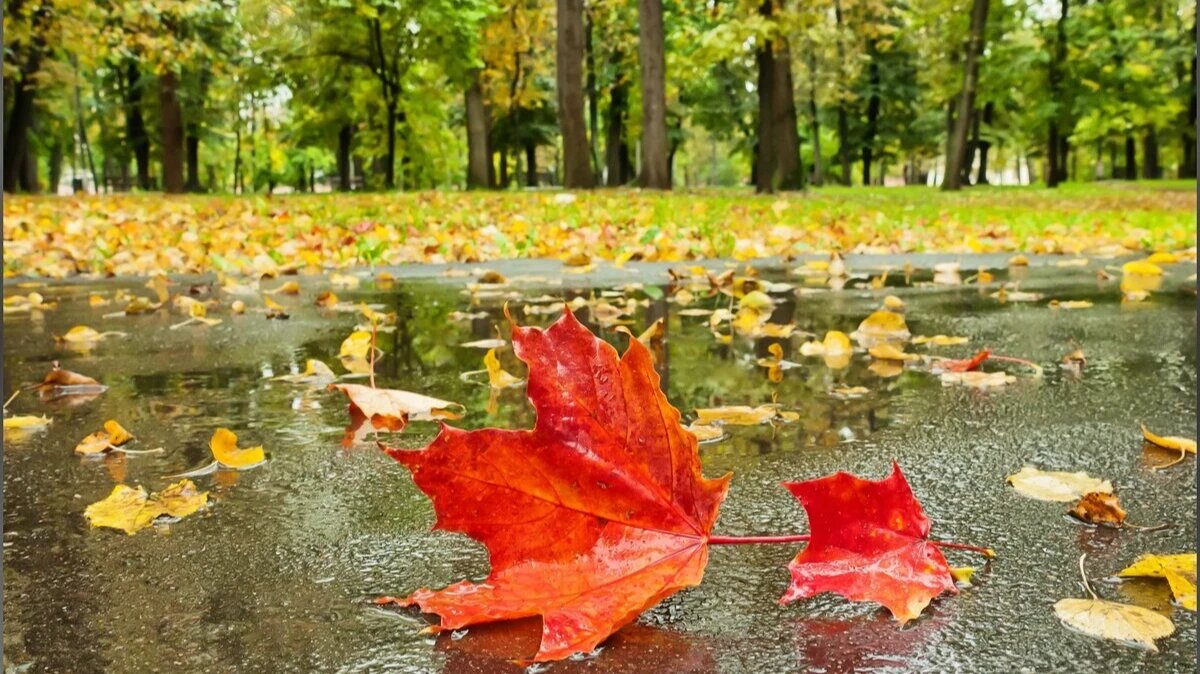 Фото: mixyfotos.ru