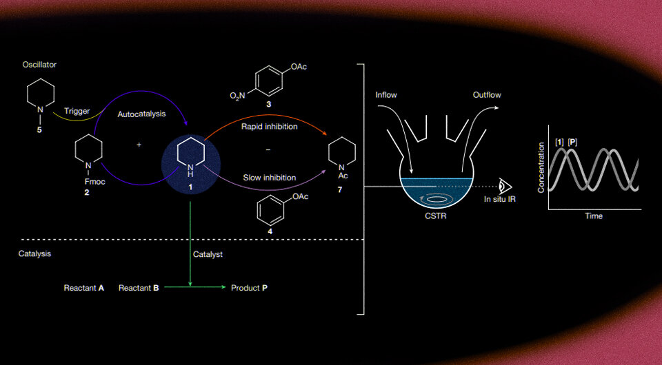   Matthijs ter Harmsel et al. / Nature, 2023