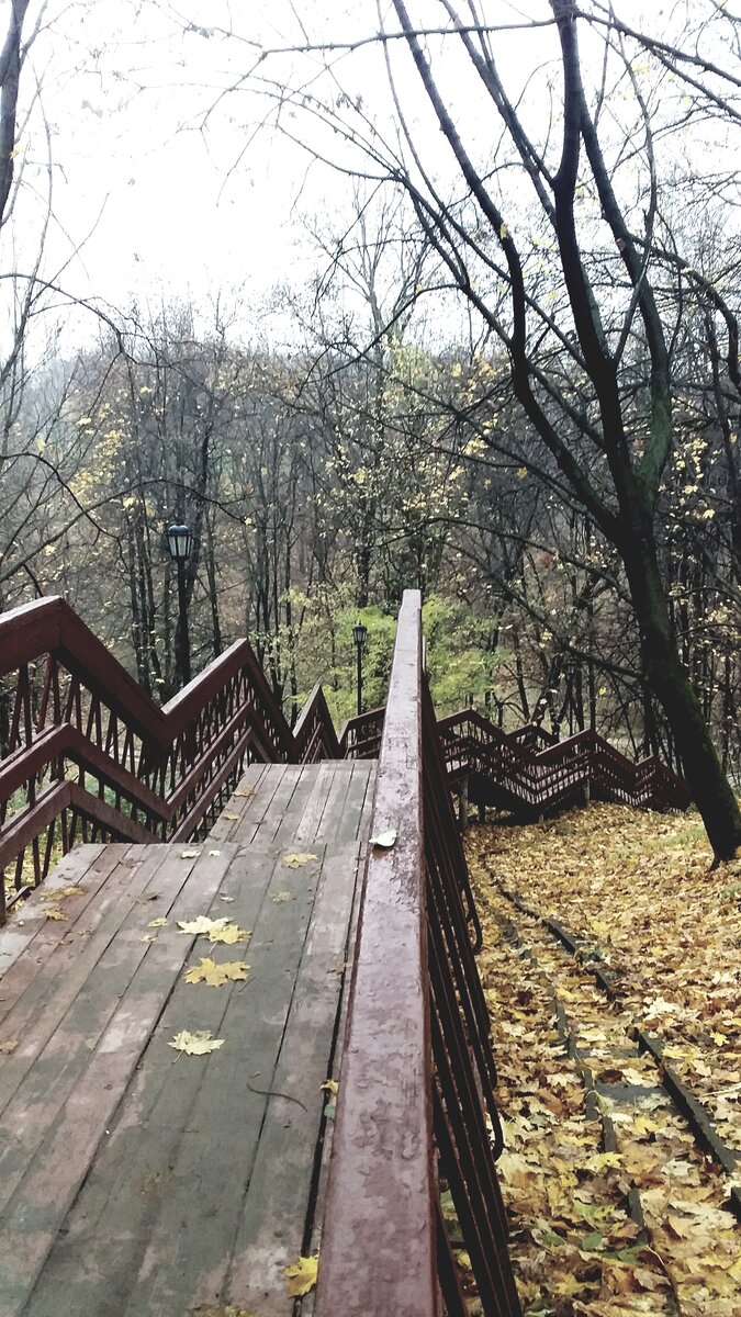 Фото автора.