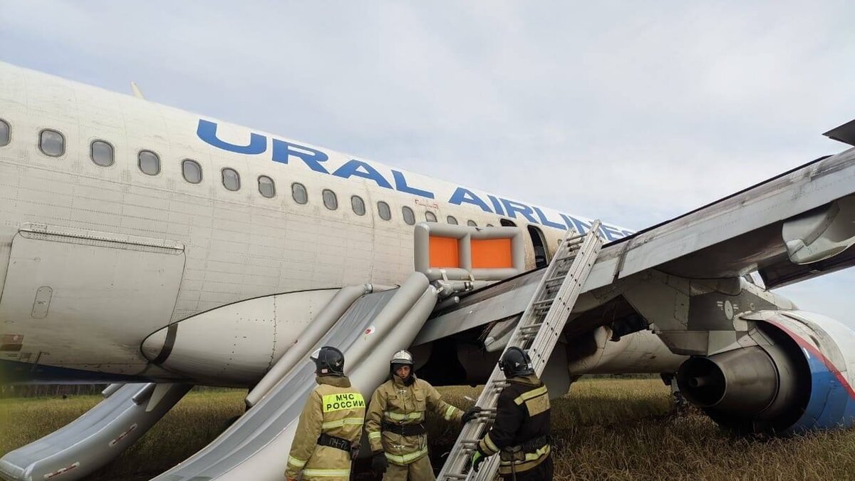     Деньги получили 76 человек.