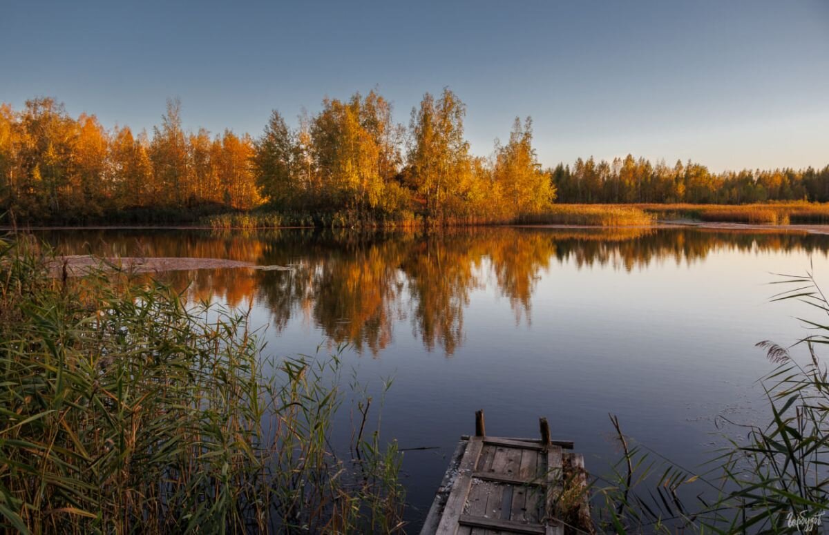 Тульский фотограф Илья Гарбузов