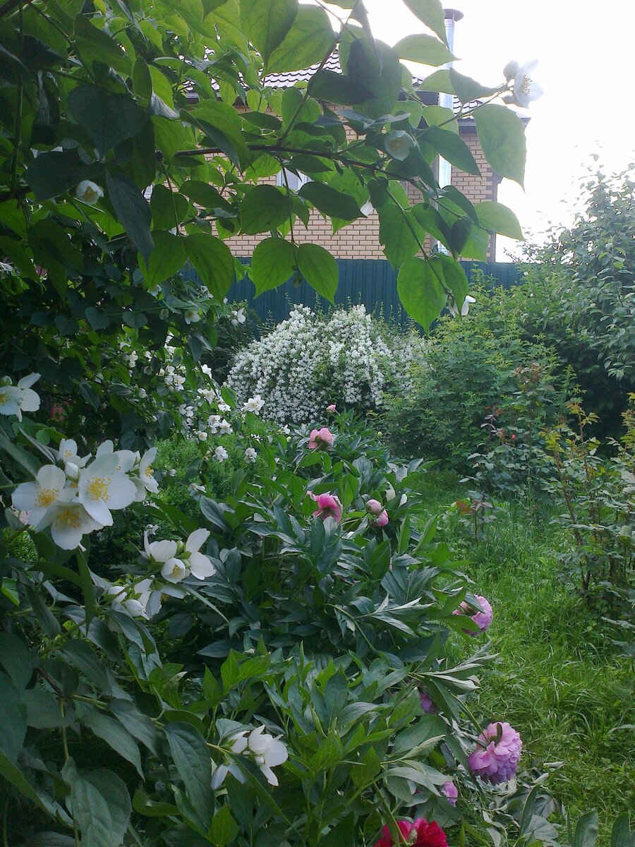 Скоро всё расцветёт.