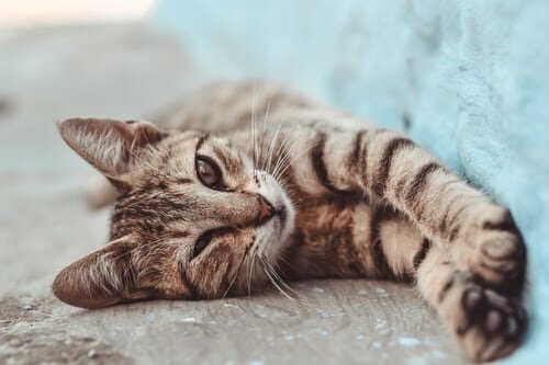 Источник фото:  unsplash.com
