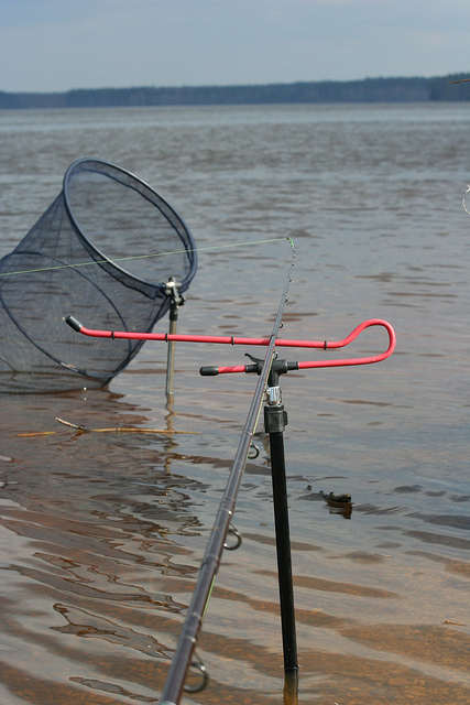 Фидерная снасть