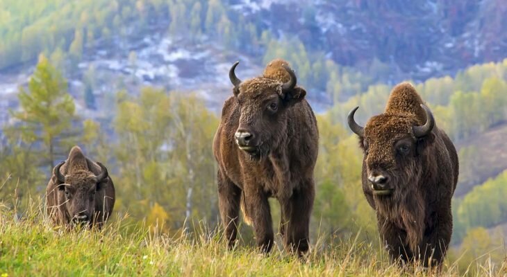 Фотоматериал: mir-tourista.ru