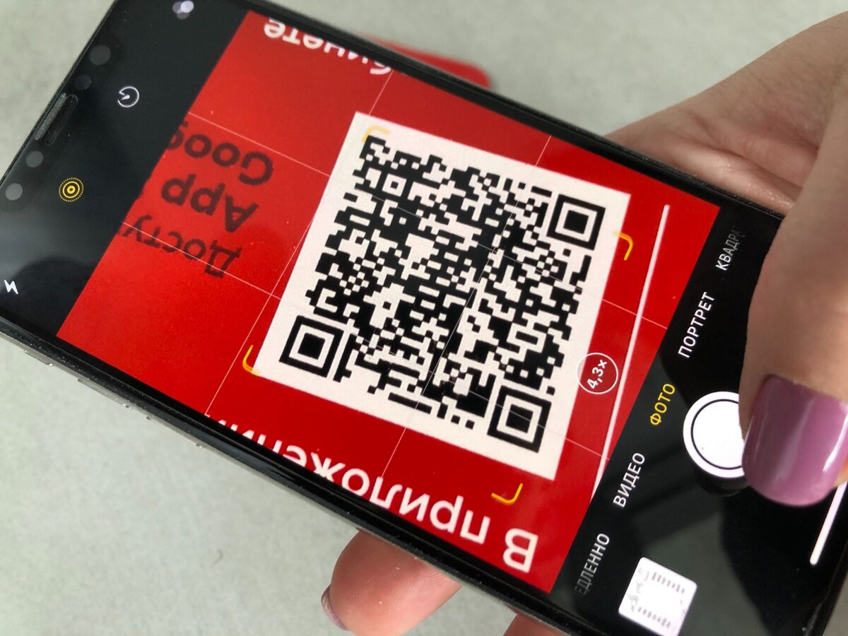 Ответы на вопросы о QR-кодах в Рязанской области | Новости — РЗН.инфо | Дзен