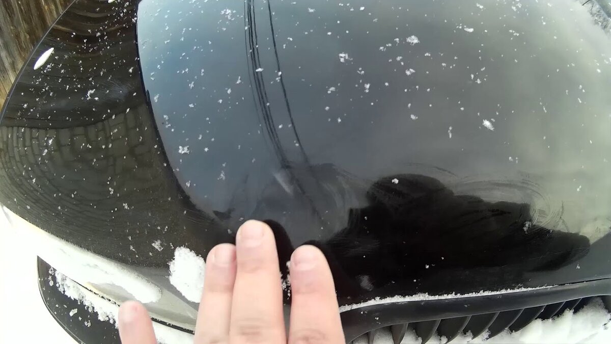 Фото взято из Яндекс.Картинок