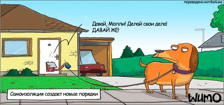 Источник: http://wumo.com/wumo