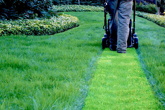 Фото из открытых источников.