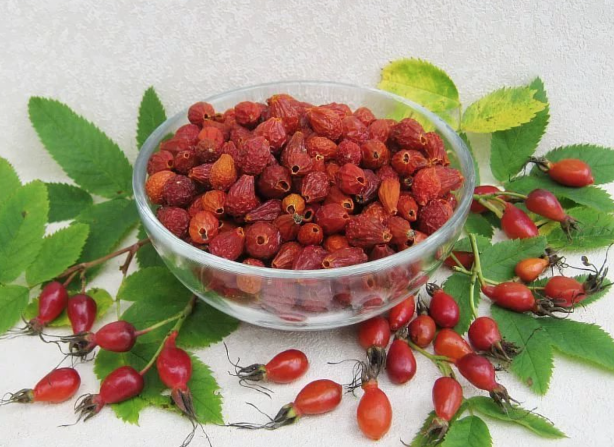 Сухие плоды шиповника - настоящий кладезь витаминов и минералов