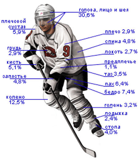Статистика хоккея с шайбой. Экипировка хоккеиста с шайбой. Хоккейная экипировка игрока. Спортивная травма хоккей.