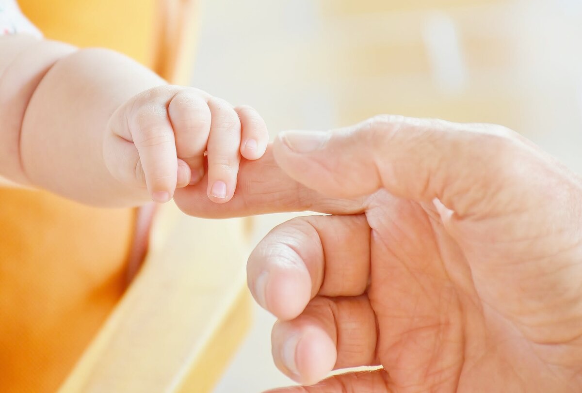https://www.pexels.com/ru-ru/photo/451853/
