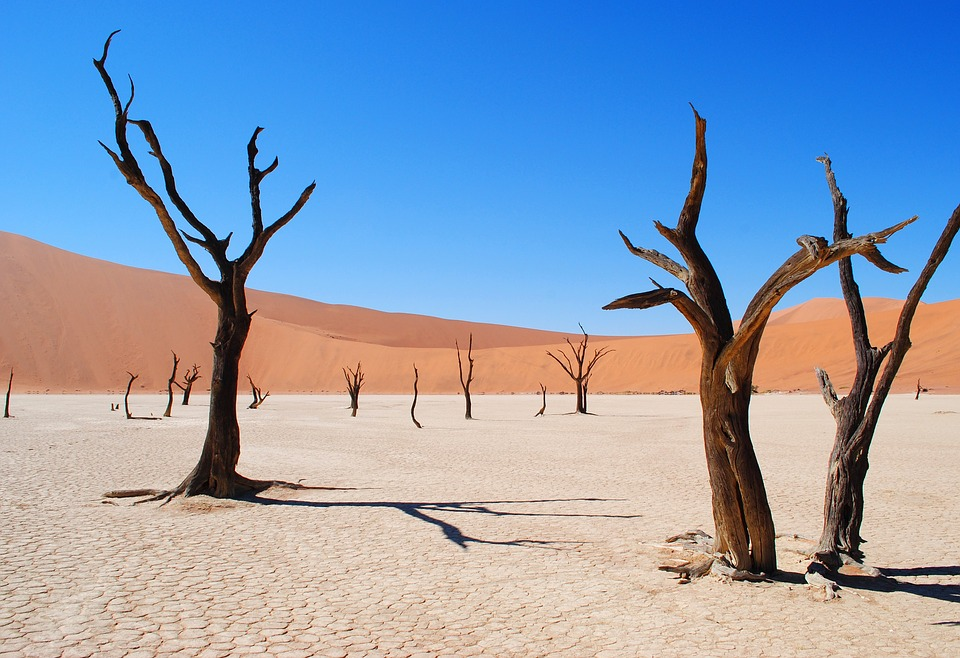 https://pixabay.com/photos/deadvlei-namibia-africa-desert-2011373/