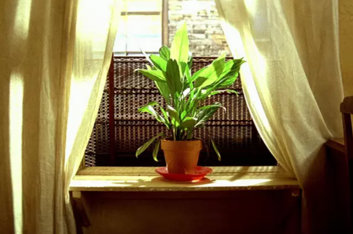 ответы в конце теста