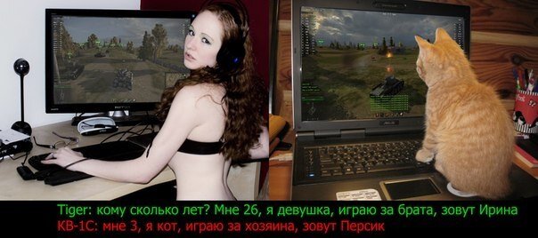 Ну поиграйте со мной. Игрок в танки прикол. World of Tanks глазами жены. Парень играет в танки. Задроты девушки.