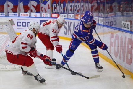 Хоккейные клубы СКА и "Витязь" обменялись игроками