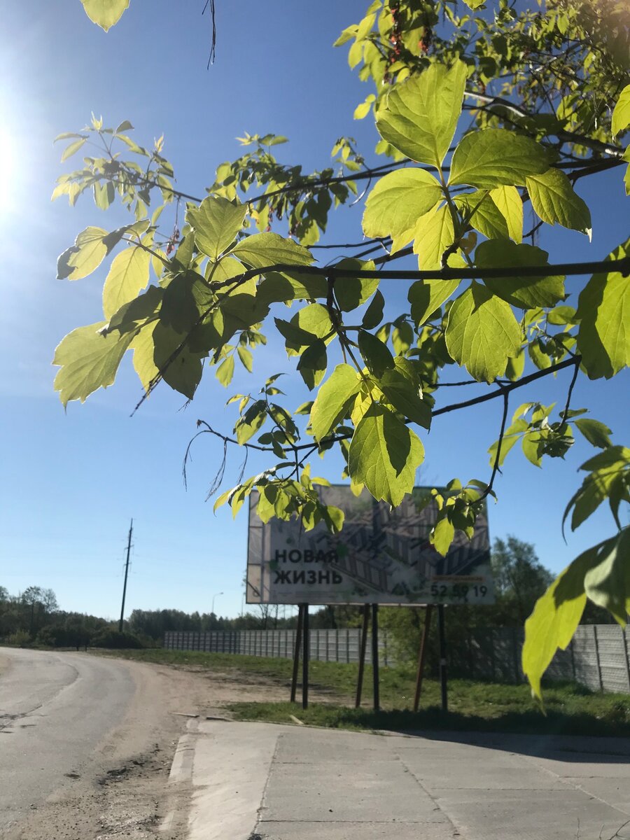 Вы это видите? Почему-то мне стало очень смешно. Как будто кто-то подсунул мне эту надпись, чтобы поиздеваться.