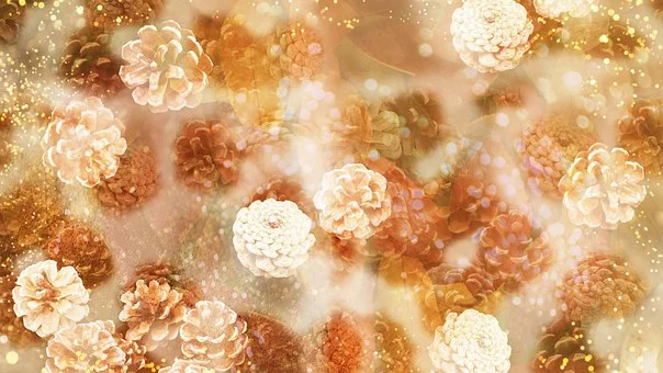 ЛУКОВЫЙ СУП