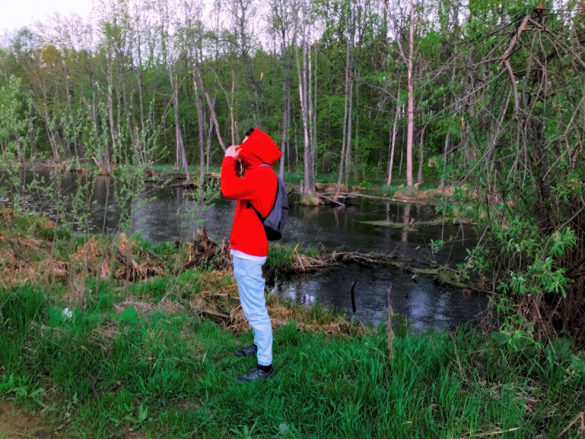 Медитация в лесу