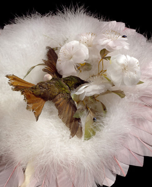 Веер с колибри, 1880-е, Бразилия. (с) Из коллекции музея Виктории и Альберта (Лондон). Деталь.