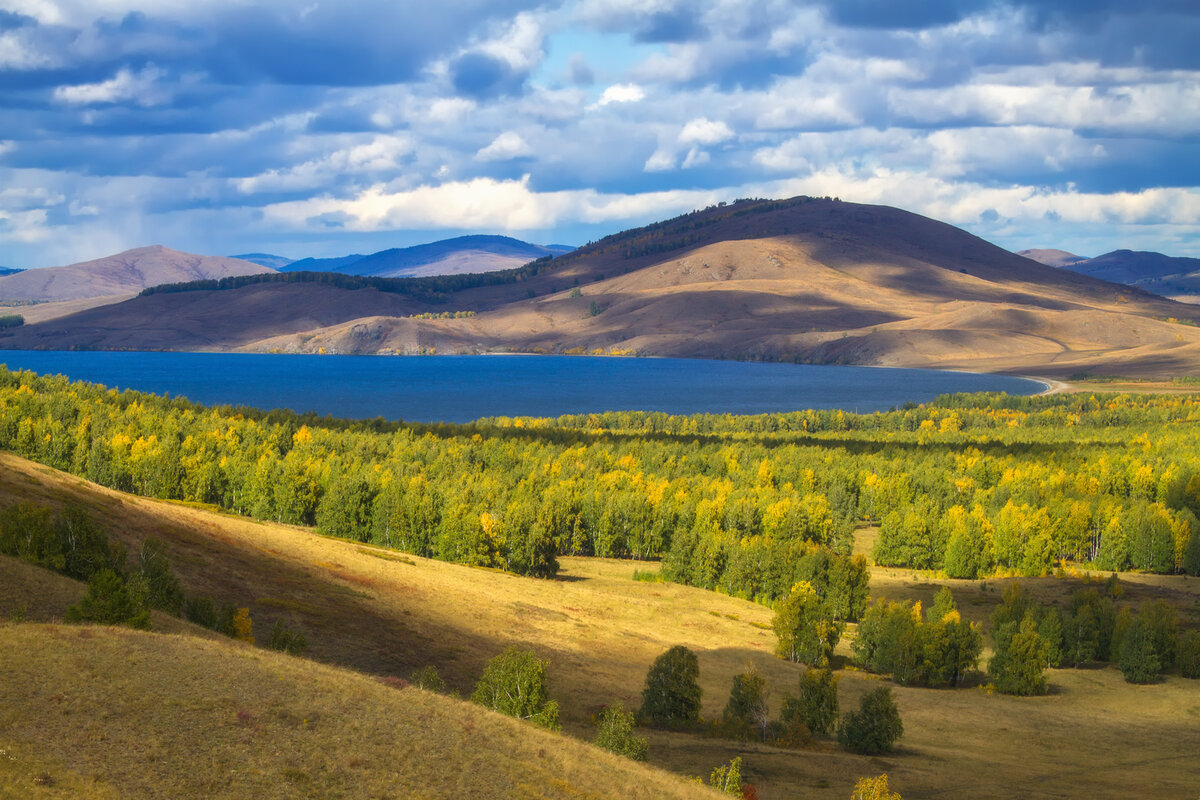 Фото из яндекс картинок, своих нет, но есть видео (на канале в дзене)