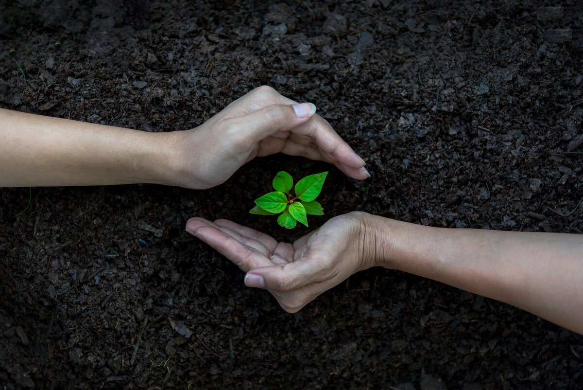 Фото https://s3.nat-geo.ru